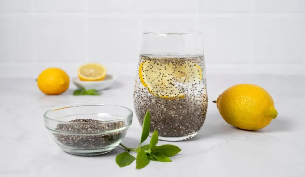 Wellhealthorganic Chia Seeds